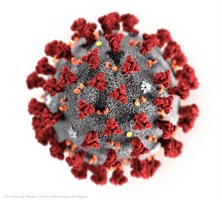 АнтиCOVID (СИЗ)